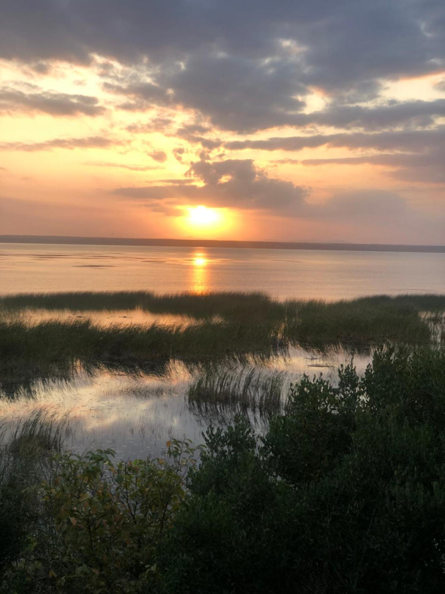 El Seuno De Africa -The Dream Of Africa Βίλα Saint Lucia Estuary Εξωτερικό φωτογραφία